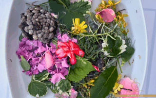 acqua-di-san-giovanni-ivana-iori-naturopata