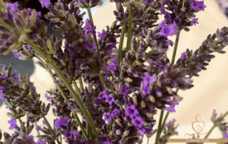 olio-essenziale-di-lavanda-ivana-iori
