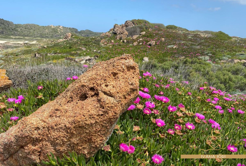 paesaggio primaverile naturopata ivana iori