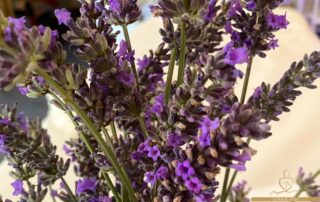 olio-essenziale-doi-lavanda-ivana-iori